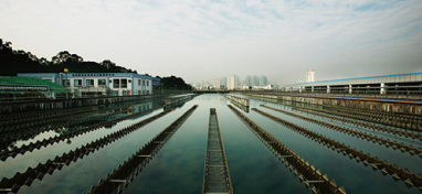 兩會聲音：城市“新洼地”之痛 如何補齊城市地下管網(wǎng)短板？