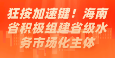狂按加速鍵！海南省積極組建省級(jí)水務(wù)市場(chǎng)化主體